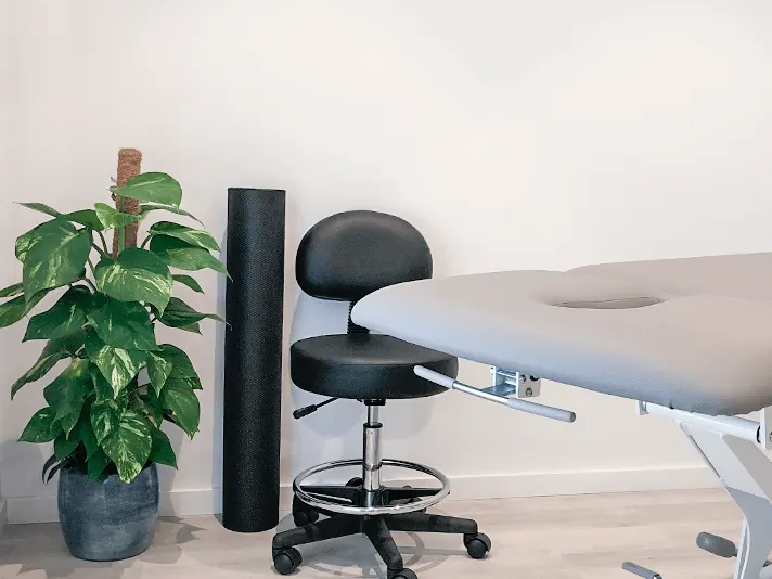 Una sala de tratamiento: la camilla, un taburete, un rulo de espuma y una planta